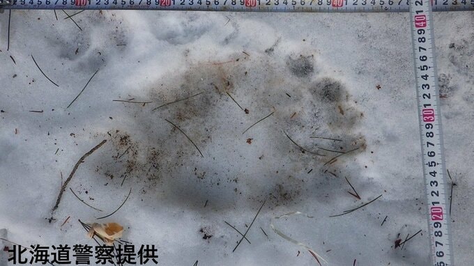 元日に林道でクマのものとみられる足跡見つかる　警察は画像を公開して注意を呼びかけ　北海道厚岸町　|　北海道のニュース｜HBC北海道放送