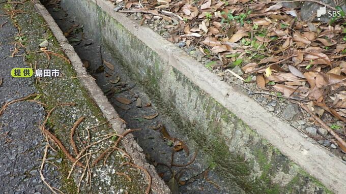また盗まれたか…側溝の蓋・グレーチング122枚　今度は島田市で　市は警察に被害届提出＝静岡　|　静岡のニュース | SBSNEWS | 静岡放送