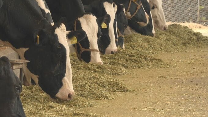 夏休み期間の消費減解消めざす　県産牛乳使用　コンビニ商品販売へ|TBS NEWS DIG