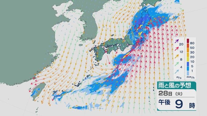 低気圧が進む東海・関東では警報級の大雨のところも 29日にかけて土砂災害などに警戒を 29日午後6時までの雨と風シミュレーション予想　|　石川県のニュース｜MRO北陸放送