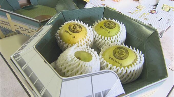 アレ…１８年前には３日間電話が鳴りやまなかった…トラファン歴４０年の熱意は「専用ケース」窓の数・芝生も甲子園をリアルに再現　|　BSSニュース | BSS山陰放送