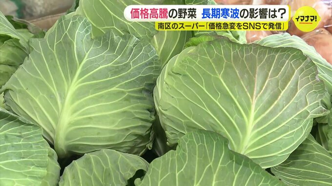 高値続く野菜　長期寒波の影響は？価格急変への対応でチラシやめてSNSで発信も　|TBS NEWS DIG