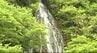 【滝画像あり】年に1度しか見られない！！【幻の滝】信州・木島平村「樽滝」2年ぶりに出現…新緑に囲まれた岩肌の斜面を水が白糸のように…「珍しいですよね…！」「めっちゃきれいです…！」　|　SBC NEWS | 長野のニュース | SBC信越放送