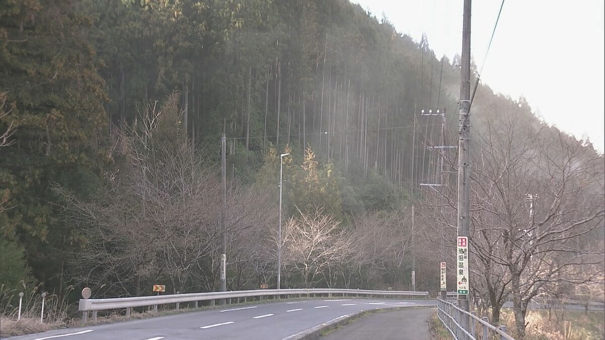 “雨上がりの強風”で東海地方は花粉が大量飛散 スギ林では煙のように舞い上がる…ことしは平年に比べ飛散予測が1.3倍