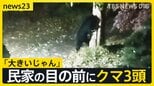 3連休の行楽地に“クマ”の影響「きょうは目撃したのか？」の問い合わせも　各地で人的被害も相次ぐ「キノコ採り」で山に入り“鼻を引っかかれる”【news23】|TBS NEWS DIG