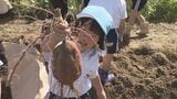 「うえーい!」実りの秋到来 園児たちがサツマイモ掘り「ちっちゃく切って食べる」福島 | 福島のニュース│TUF
