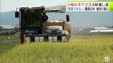 「農業できない…」コメ農家から悲鳴 大幅引き下げ決定のコメ農家への前渡し金 生産コストの上昇に直面する生産現場「とてもじゃないが1万円の値段では全然できない」 落胆のなか進む稲刈り |TBS NEWS DIG