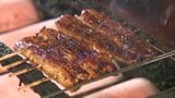 仕入れ値ダウンも中東情勢が… 暑くなる季節に食べたいウナギ|TBS NEWS DIG