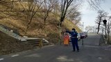 「クマ目撃」 県内屈指のサクラの名所が入場規制 岩手・紫波町|TBS NEWS DIG