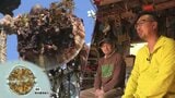 【復興への羅針盤】岩手県の9割の海域で出荷自主規制 ホタテガイに“まひ性貝毒” 漁家・販売業者は|TBS NEWS DIG