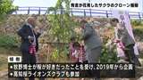 豊臣秀吉が花見したという桜のクローン　静岡の社会奉仕団体が牧野植物園駐車場に植樹【高知】|TBS NEWS DIG