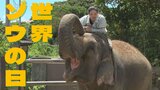 「世界ゾウの日」に生態を学ぶ | 沖縄のニュース|RBC 琉球放送