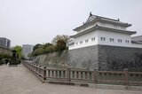 大胆推理!徳川家康の死因を暴け がんドクターとひもとく天下人の“最期” | 静岡のニュース | SBSNEWS | 静岡放送