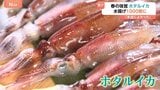 “春の味覚”ホタルイカに異変　富山湾で不漁から一転1000倍に！ パスタに酢味噌に…あなたのオススメの食べ方は？|TBS NEWS DIG