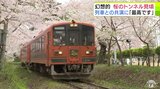 花びら舞い散る『桜のトンネル』を駆ける津軽鉄道　青森県五所川原市「芦野公園」のサクラ最高潮　観光客「もう最高です！」|TBS NEWS DIG