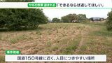 「できるならば返してほしい…」 収穫直前のヤギやヒツジのえさ用牧草が大量に盗まれる 畑にはタイヤ痕 背景に円安が影響か(静岡県) | 静岡のニュース | SBSNEWS | 静岡放送