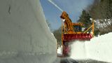 旧蒜山大山スカイラインで除雪作業 雪が多かった今年は開通が例年より1週間ほど遅れそう【岡山】|TBS NEWS DIG