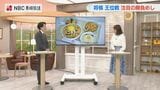 【勝負めし発表】藤井聡太王位と伊藤匠二冠が挑む長崎対局！ちゃんぽんやハトシなど名物づくしでパワーをチャージ　|　長崎のニュース | 天気 | NBC長崎放送