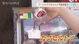 「えー、何これ…」ガチャッと回してアートを支援 カプセルトイで楽しむワクワク 富山・高岡市 | 富山のニュース|天気・防災|チューリップテレビ