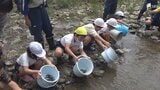 「大きくなって戻ってきて」アユ釣り解禁前に小学生がアユ1万5000匹放流＝静岡・河津町　|　静岡のニュース | SBSNEWS | 静岡放送