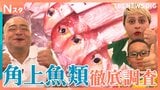 外国人にも人気の鮮魚スーパー「角上魚類」 なぜこれほど新鮮で安い?驚きの舞台裏をあばれる君と魚好きブラジル人親子が調べてきました!【それスタ】|TBS NEWS DIG