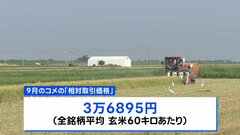 相対取引価格3万6895円　前年同月比6割増　過去最高値を更新　概算金高値が要因| TBS CROSS DIG with Bloomberg