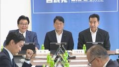 自民党税制調査会 「総額表示」義務の特例など了承　食料品の消費税減税めぐり| TBS CROSS DIG with Bloomberg