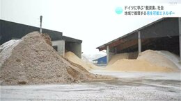 発電の熱をペレットの製造に使用、できたペレットで発電…木質バイオマス発電先進国のドイツに学ぶ“再生可能エネルギー”の循環|TBS NEWS DIG