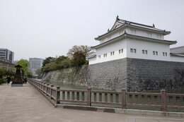 大胆推理!徳川家康の死因を暴け がんドクターとひもとく天下人の“最期”|TBS NEWS DIG