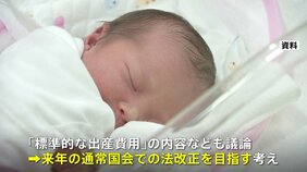 「標準的な出産費用」の自己負担を無償化へ　保険適用は年末まで議論|TBS NEWS DIG