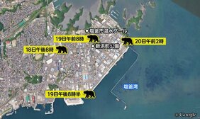 マグロ漁船に乗り込み"居座ったクマ"海に飛び込み姿消すも1キロ離れた場所で目撃される　宮城・塩釜市|TBS NEWS DIG