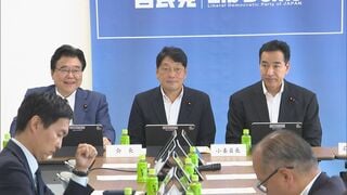 自民党税制調査会 「総額表示」義務の特例など了承　食料品の消費税減税めぐり| TBS CROSS DIG with Bloomberg