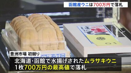 １１月２５日地元でとれたて　イモウニ１０枚 北浦うに | 萩GoChi はぎのごちそう