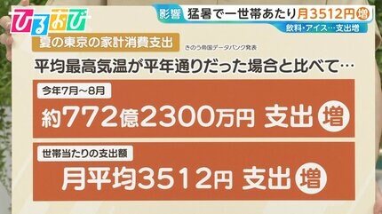 猛暑」が夏の家計を直撃！東京で月平均3512円増 “猛暑インフレ