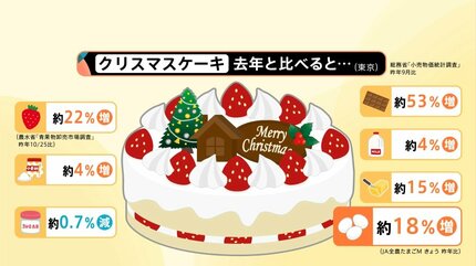カタログ見るとワクワク、値段を見るとドキッと…」クリスマスケーキ