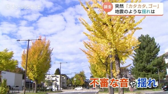 「ドンッ」「ガタガタ」　正体不明の揺れと地鳴り…石川や新潟で同時多発か　地震ではなく「ゴーッ」という音も　自衛隊機の可能性は？調査するも謎のまま　|　富山のニュース｜天気・防災｜チューリップテレビ