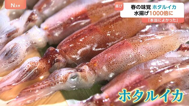 “春の味覚”ホタルイカに異変　富山湾で不漁から一転1000倍に！ パスタに酢味噌に…あなたのオススメの食べ方は？|TBS NEWS DIG