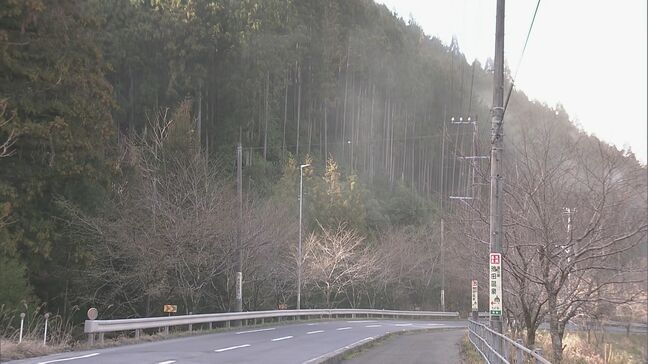 “雨上がりの強風”で東海地方は花粉が大量飛散 スギ林では煙のように舞い上がる…ことしは平年に比べ飛散予測が1.3倍|TBS NEWS DIG