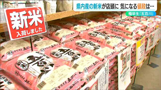 新潟県産 極早生米『五百川』早くも店頭に！「去年の相場を参考にした」今秋のコシヒカリの出来を懸念する業者も|TBS NEWS DIG