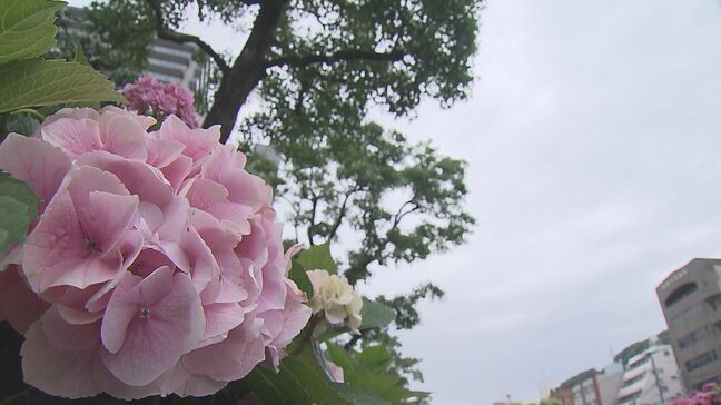 九州北部地方も梅雨入り 警報級大雨のおそれも|TBS NEWS DIG