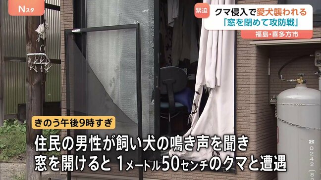 飼い犬の鳴き声を聞き窓を開けるとクマ「手が入ってきて…」 飼い犬は襲われ死ぬ　福島・喜多方市|TBS NEWS DIG
