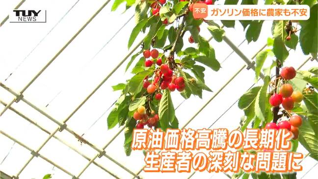 「早く収まってほしい」原油価格の高騰でさくらんぼ農家も困惑　県内のガソリン価格が史上最高額に（山形）　|TBS NEWS DIG