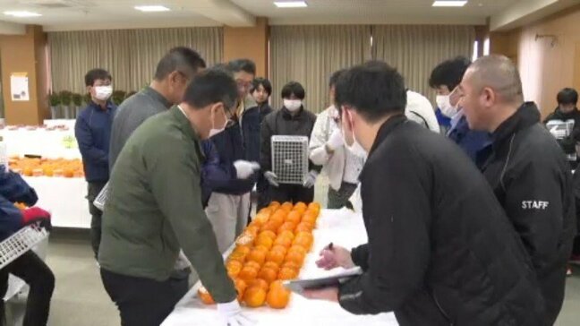 「非常にいいものに仕上がっている」 JA農産物品評会 愛媛県・松山市|TBS NEWS DIG