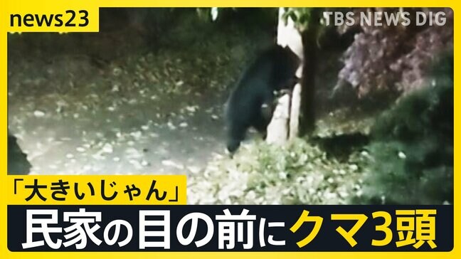 3連休の行楽地に“クマ”の影響「きょうは目撃したのか？」の問い合わせも　各地で人的被害も相次ぐ「キノコ採り」で山に入り“鼻を引っかかれる”【news23】|TBS NEWS DIG
