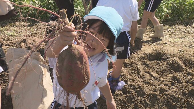 「うえーい！」実りの秋到来　園児たちがサツマイモ掘り「ちっちゃく切って食べる」福島|TBS NEWS DIG