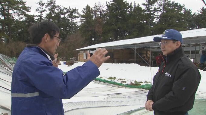 「雪の重さでひっぱられて…」農作物に大雪被害　鳥取・平井知事が視察　ネギは葉折れ、ビニールハウスは半壊|TBS NEWS DIG