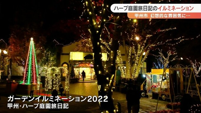 山梨県甲州市「ハーブ庭園旅日記」のガーデンイルミネーション　25万球の電飾が庭園を彩る　|　山梨のニュース | ＵＴＹテレビ山梨