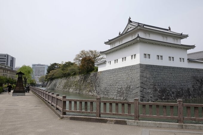 大胆推理！徳川家康の死因を暴け　がんドクターとひもとく天下人の“最期”　|　静岡のニュース | SBSNEWS | 静岡放送