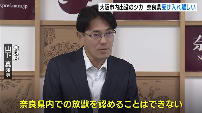 「野生動物であり被害の恐れ否定できず」大阪市中心部に出没のシカ　奈良県知事が『受け入れ難しい』との見解示す　大阪市・横山市長は調整希望も「県内の放獣　認めることはできない」　|　MBSニュース | 関西の最新ニュースを分かりやすく。