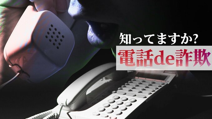 千葉県だけで浸透する「電話de詐欺」　何のこと？読み方は？　警察が本気で取り組む犯罪撲滅対策を紐といてみた|TBS NEWS DIG